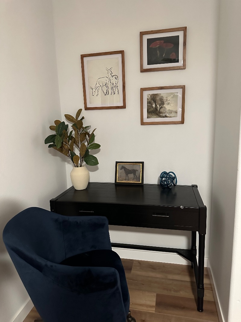 Renovated 2 Bedroom Home Walking Distance to Old Mill and Amphitheatre - Photo 4