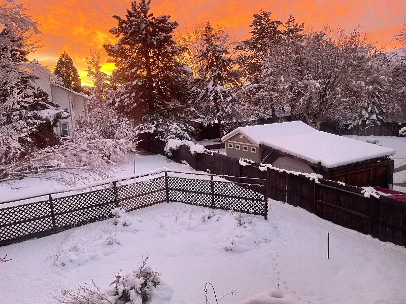 Backyard Sunrise View