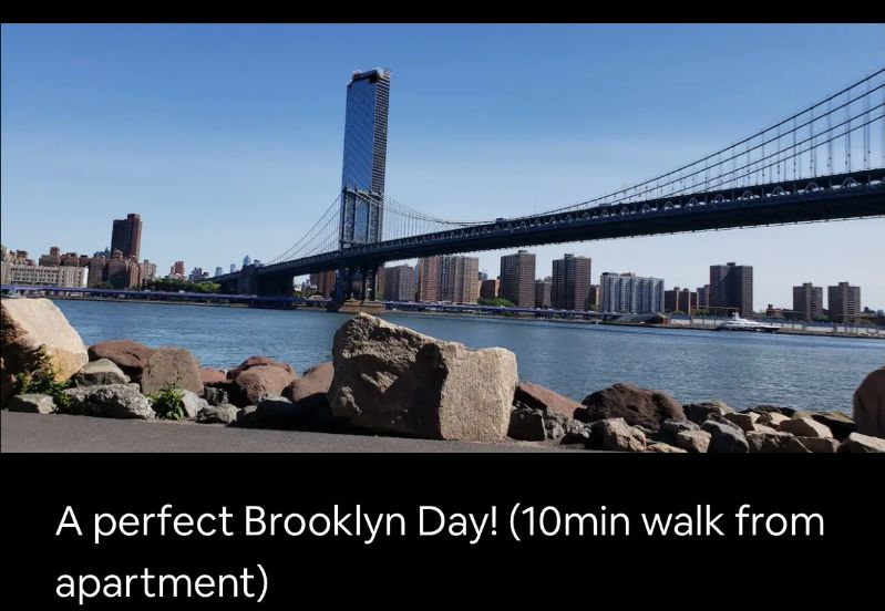 Dumbo /Vinegar Hill - Photo 11