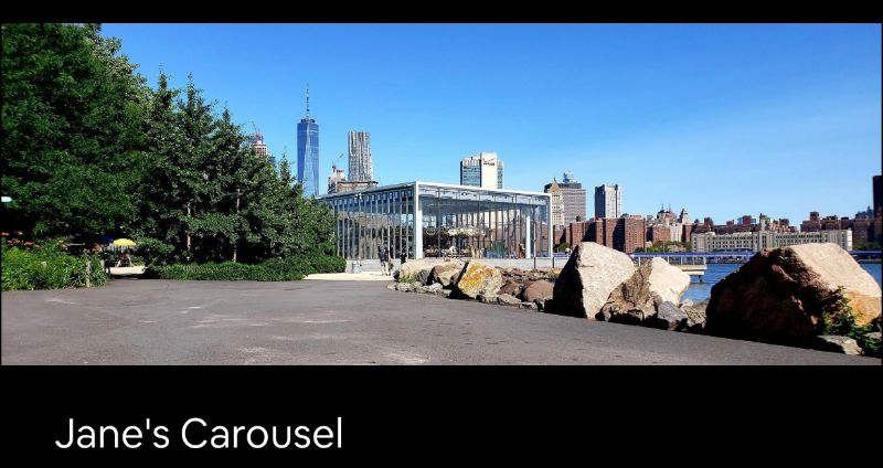 Dumbo /Vinegar Hill - Photo 12