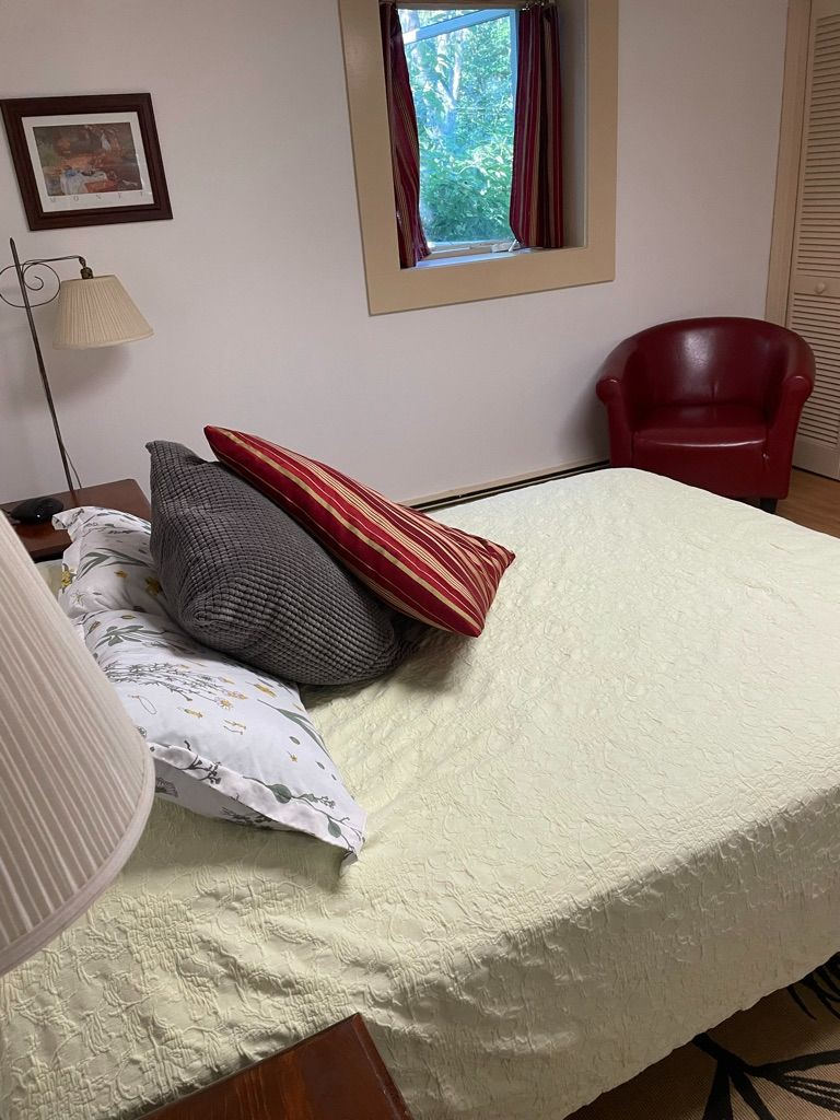 2 bedroom in-town basement apartment - Photo 3
