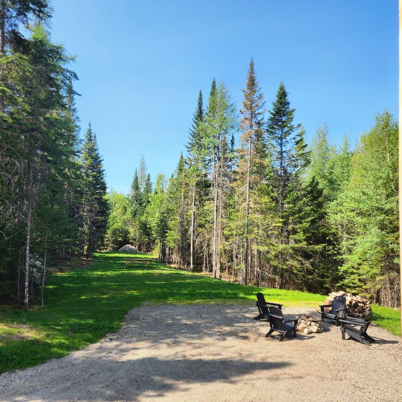 Full Cabin Rental - Photo 9