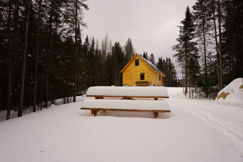 Full Cabin Rental - Photo 10