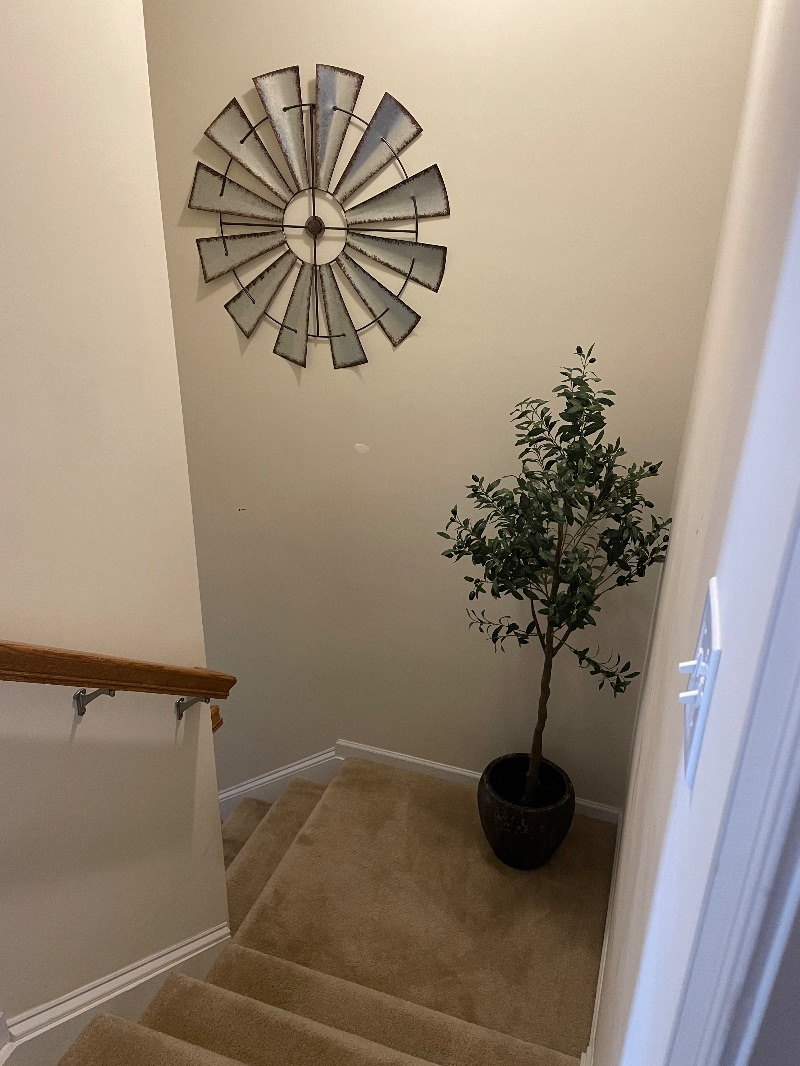 Charming and Pet Friendly Furnished Townhome in Morgantown - Photo 10