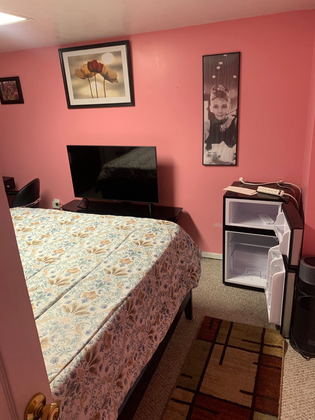Cozy 1 bedroom very spacious in BayShore - Photo 1