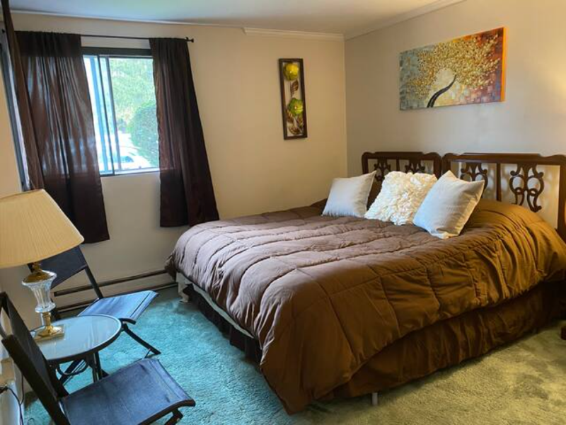 Adorable One Bedroom, One Bathroom Condo - Photo 6