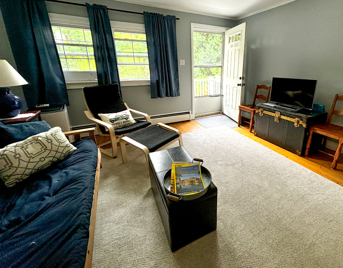 Cozy home in Saratoga Springs - Photo 4