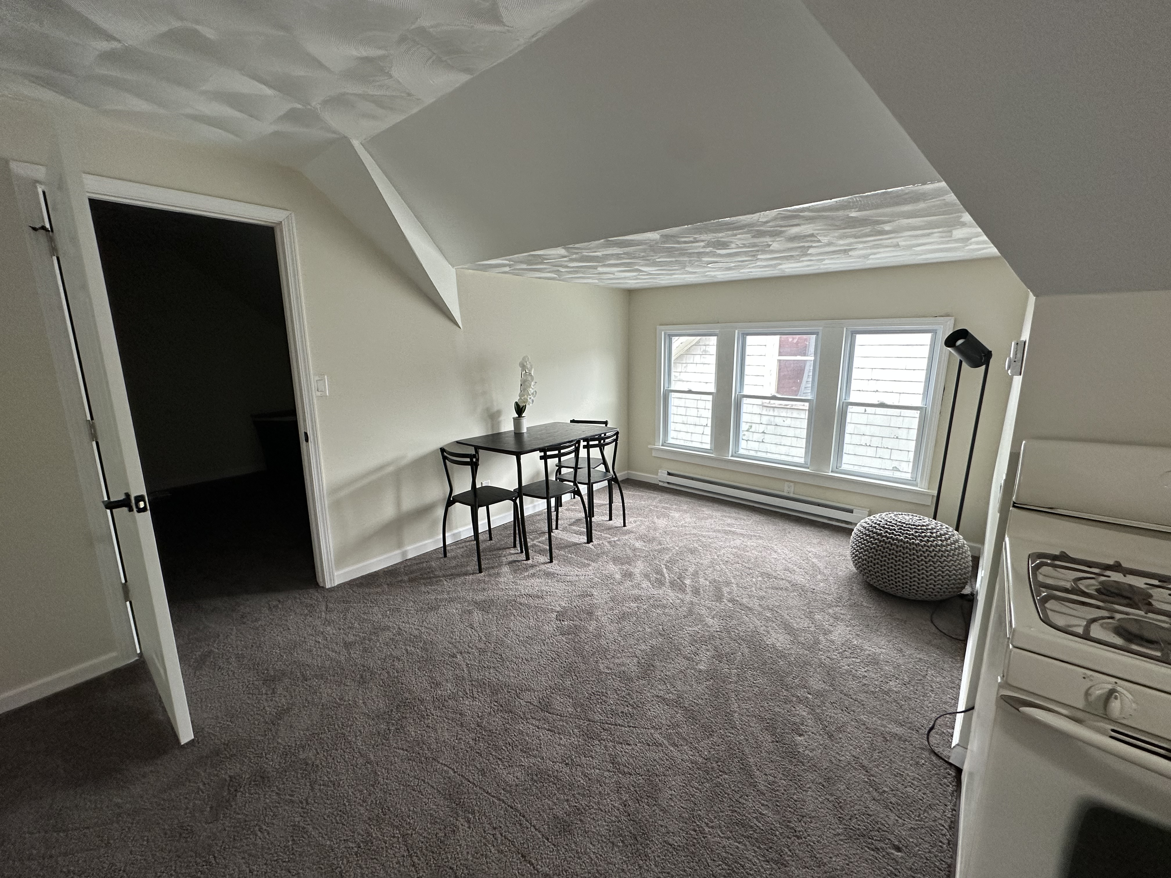 Cozy and Newly Renovated 1BR Attic Aparment/Steps from UPMC Chautauqua - Photo 7