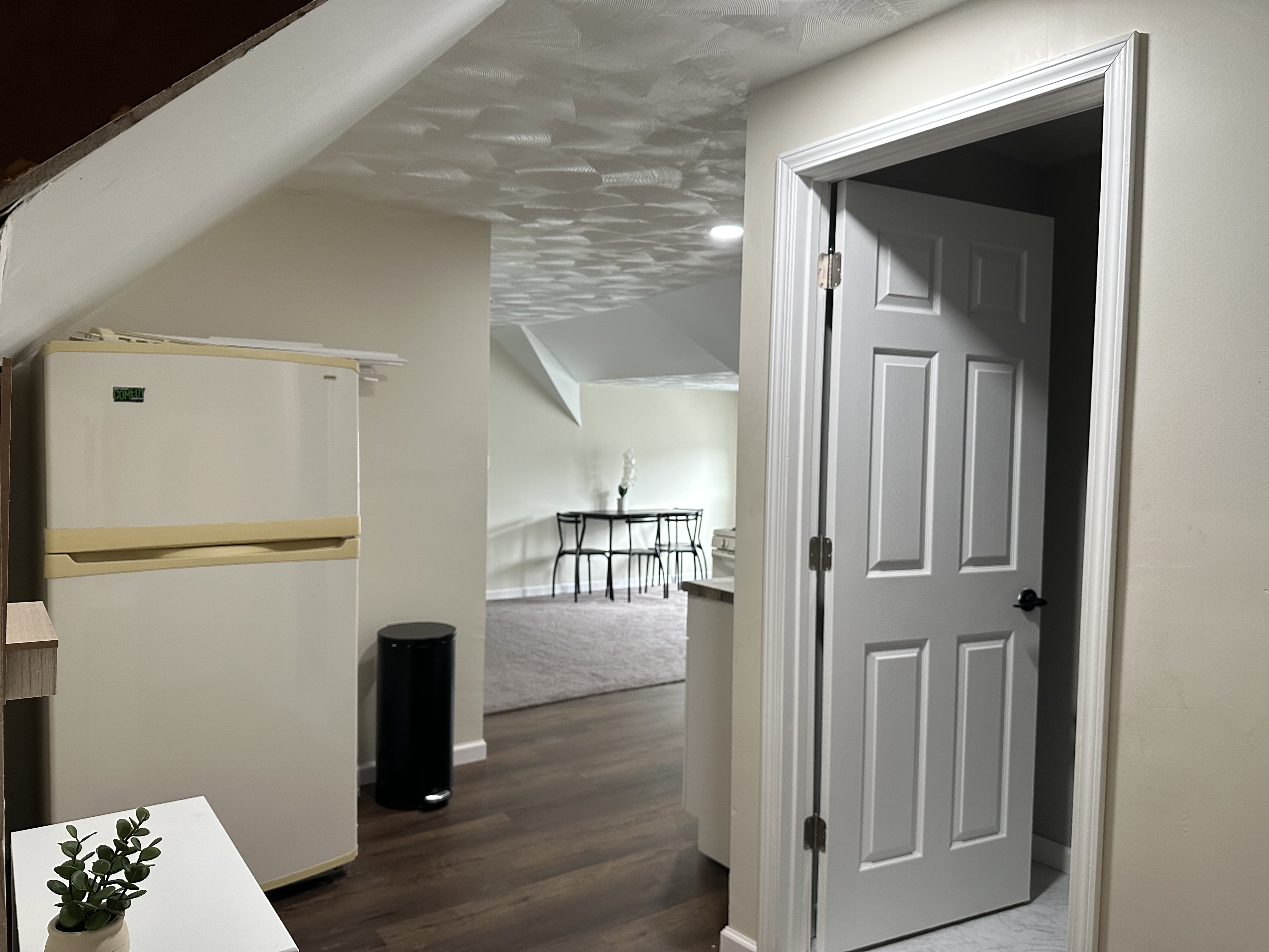 Cozy and Newly Renovated 1BR Attic Aparment/Steps from UPMC Chautauqua - Photo 6