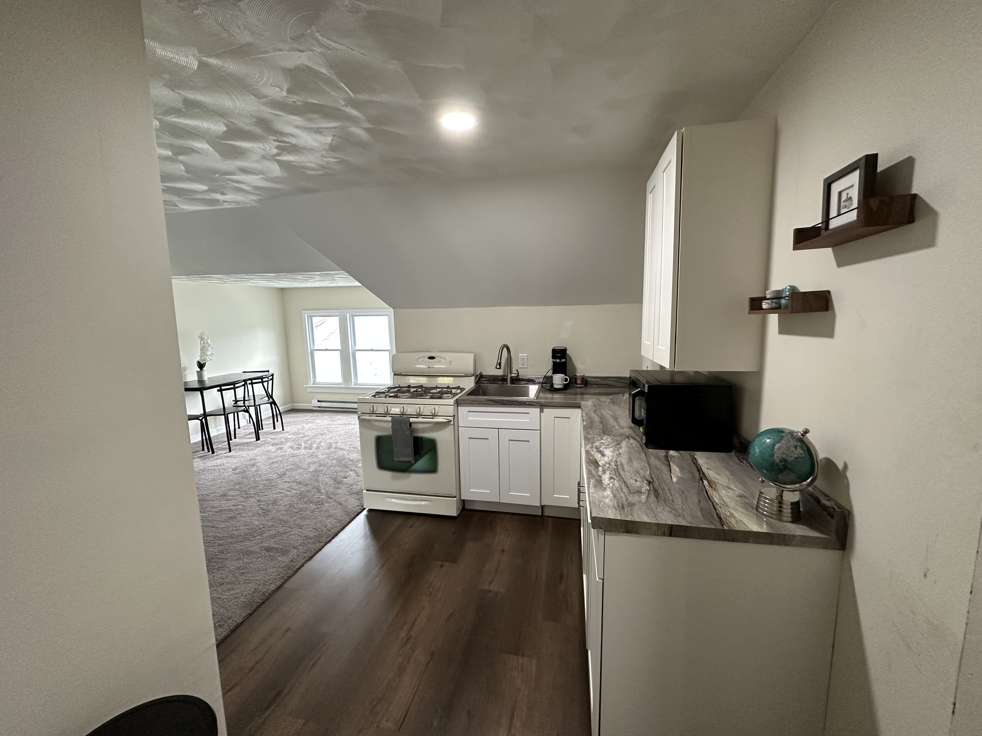 Cozy and Newly Renovated 1BR Attic Aparment/Steps from UPMC Chautauqua - Photo 4
