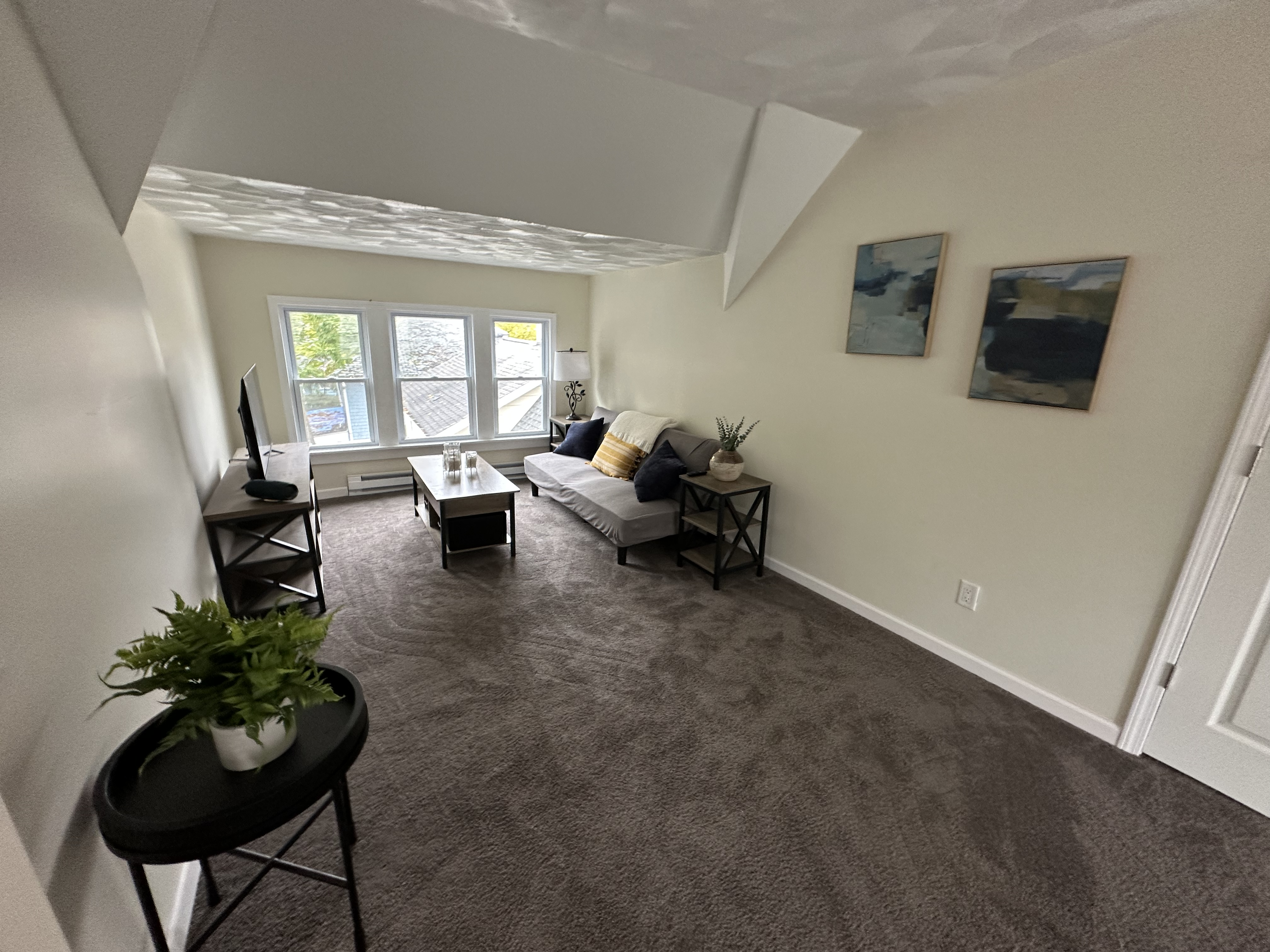 Cozy and Newly Renovated 1BR Attic Aparment/Steps from UPMC Chautauqua - Photo 3