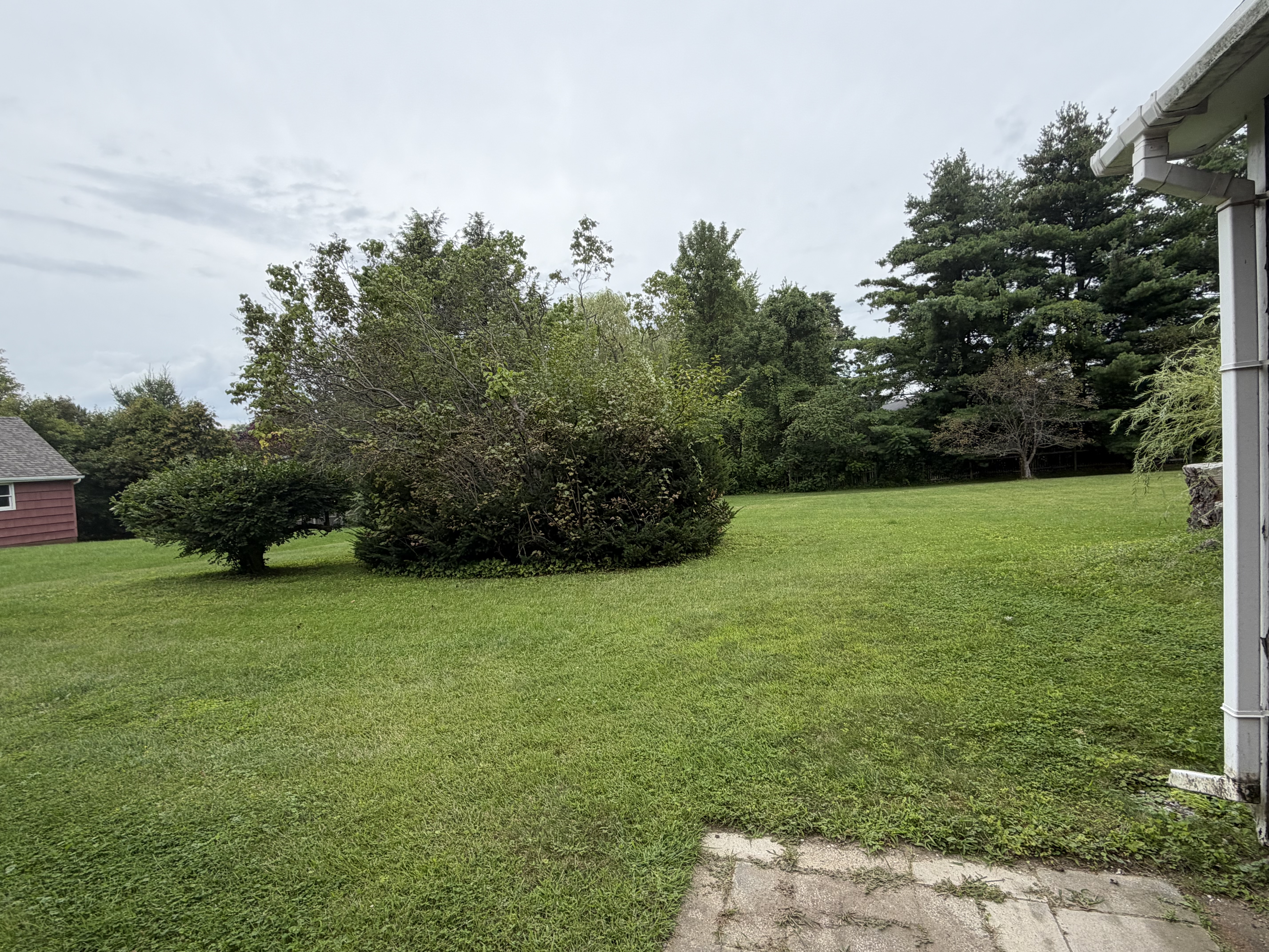 2 BR 1 BA house Large Yard Dog Friendly - Photo 8