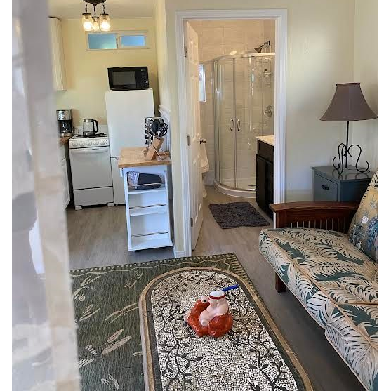 Stand Alone Studio w private patio near Kaiser UCSD Hillcrest Scripps Mercy - Photo 2