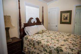 Tree Top Cottage in Castle Street District - Photo 4