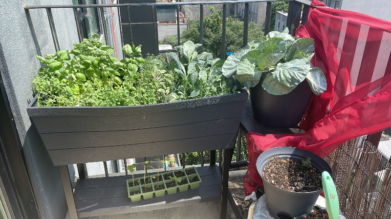 Brooklyn Oasis - Photo 11