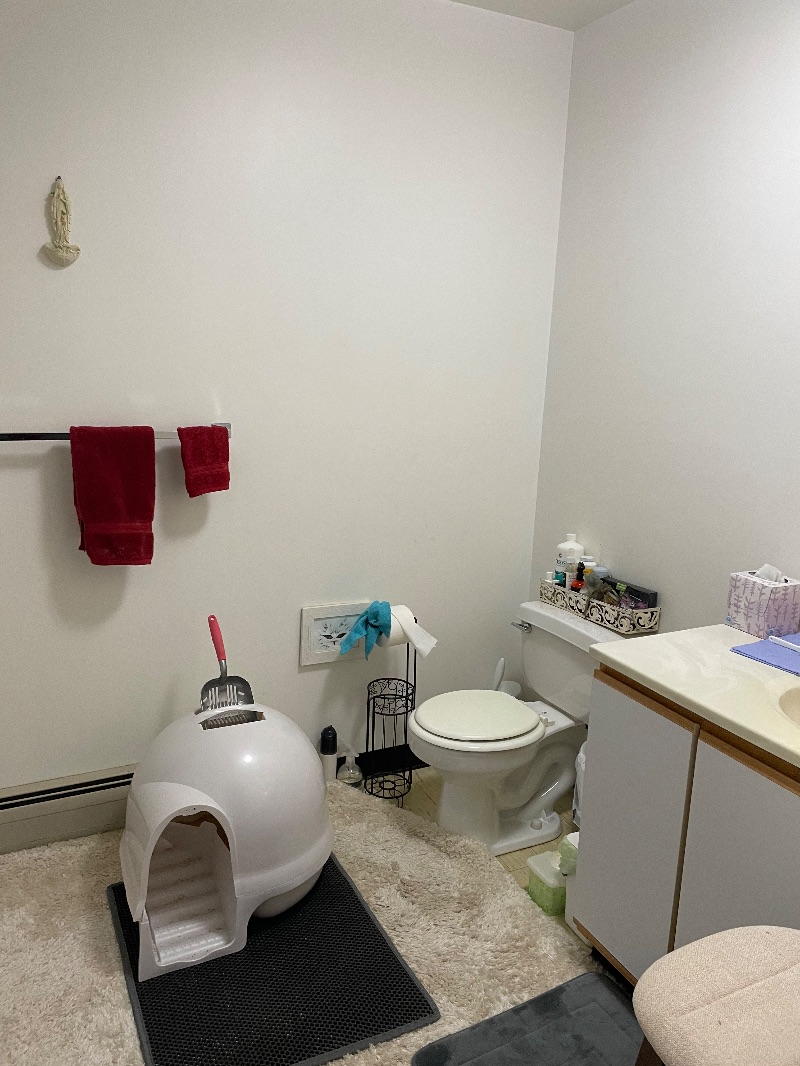 Private bedroom. sunny, with refrigerator and microwave. - Photo 4