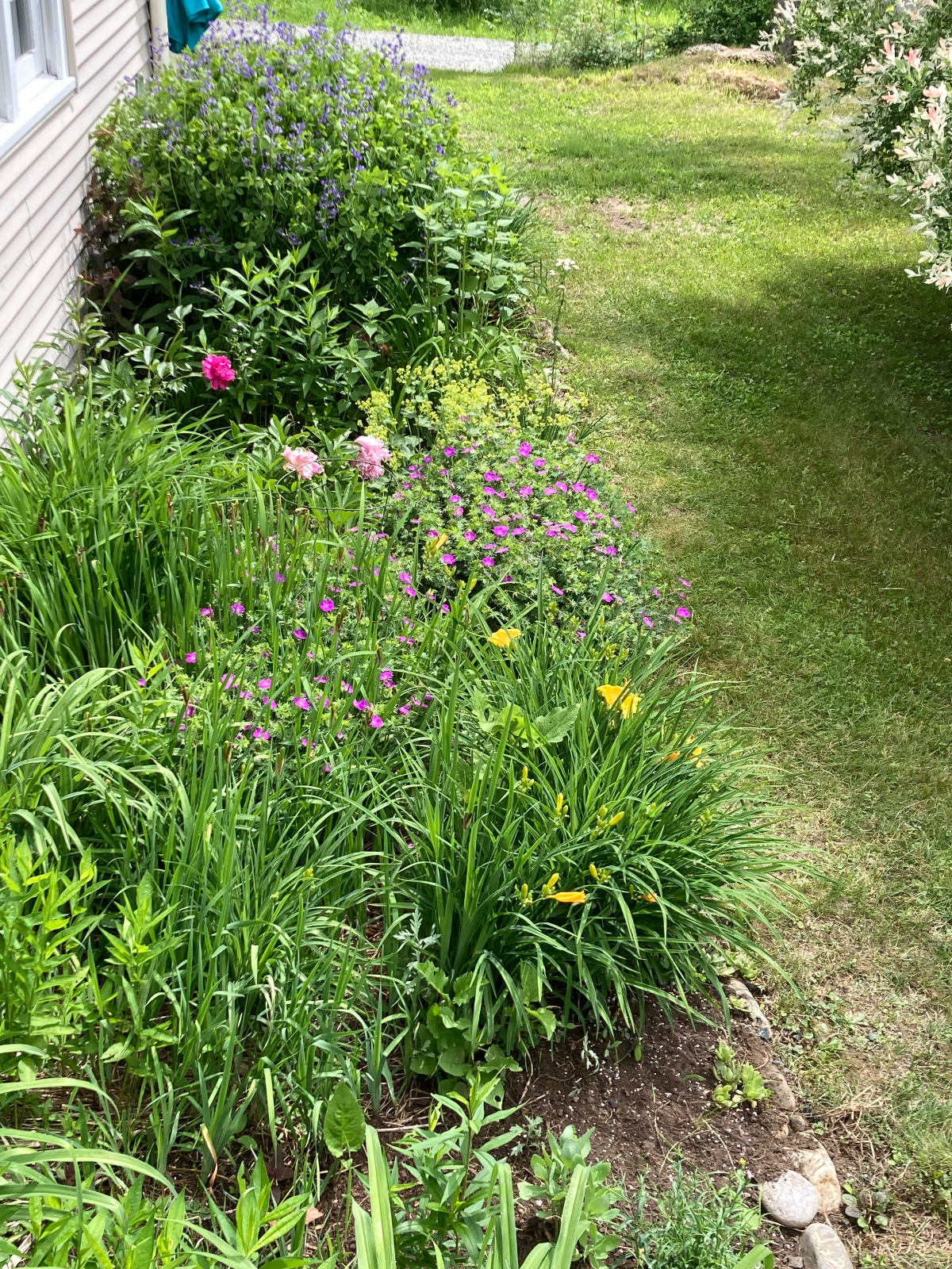 Comfortable Vermont Home - Photo 11