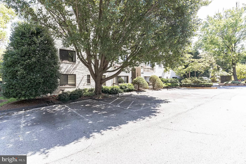 Georgetown North - Quiet and Safe - Large 1 Bedroom  (Parking) - Photo 2