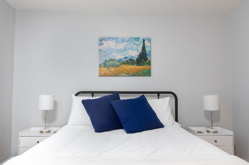 Luxurious Spacious Apt minutes to hospitals - Photo 9