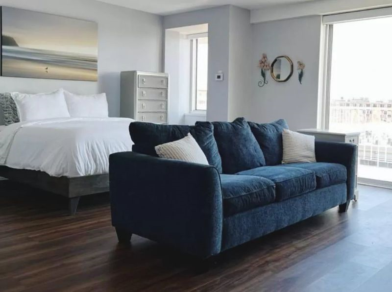 Sunny Urban Oasis Renovated Studio with Capitol Views - Photo 1