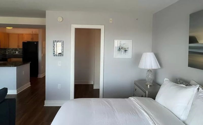 Sunny Urban Oasis Renovated Studio with Capitol Views - Photo 3