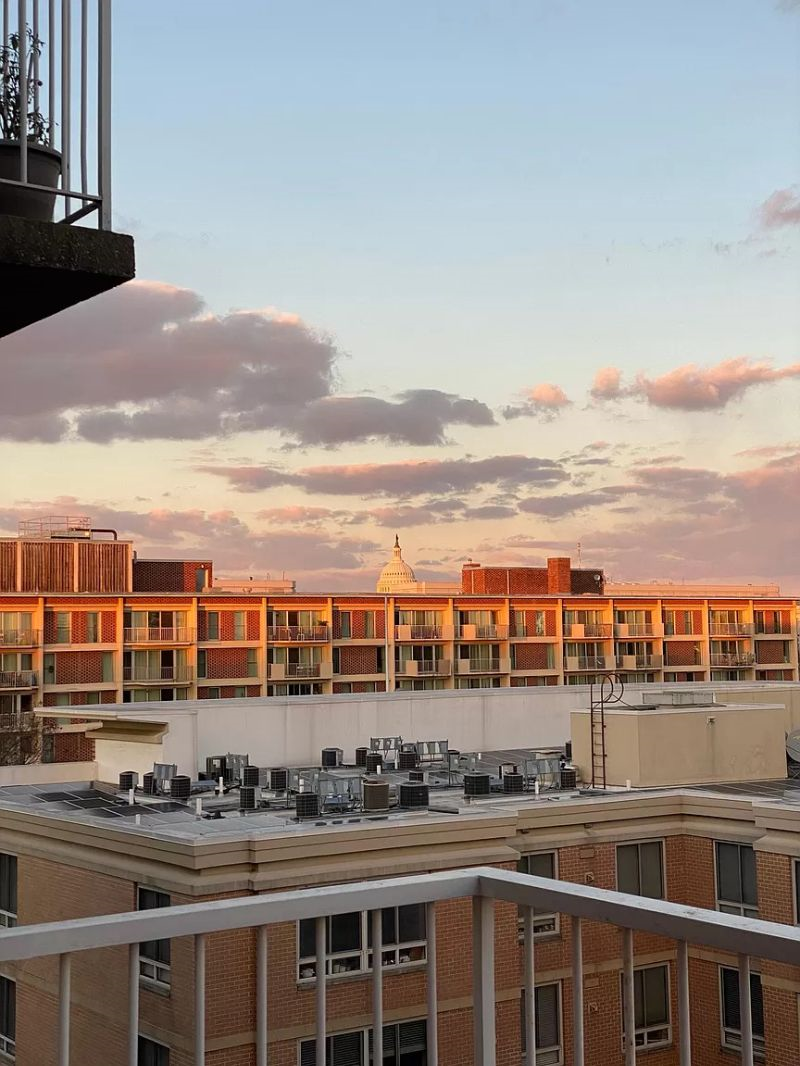 Sunny Urban Oasis Renovated Studio with Capitol Views - Photo 8