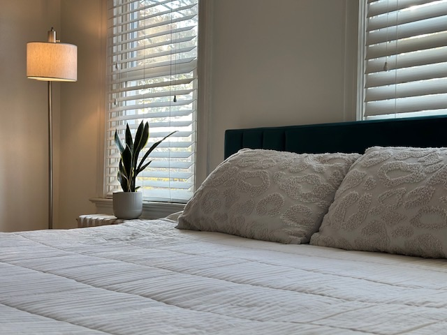 SPACIOUS Rowhome conveniently located on main thoroughfare - Photo 7