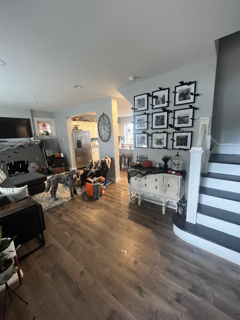 Cozy City Home