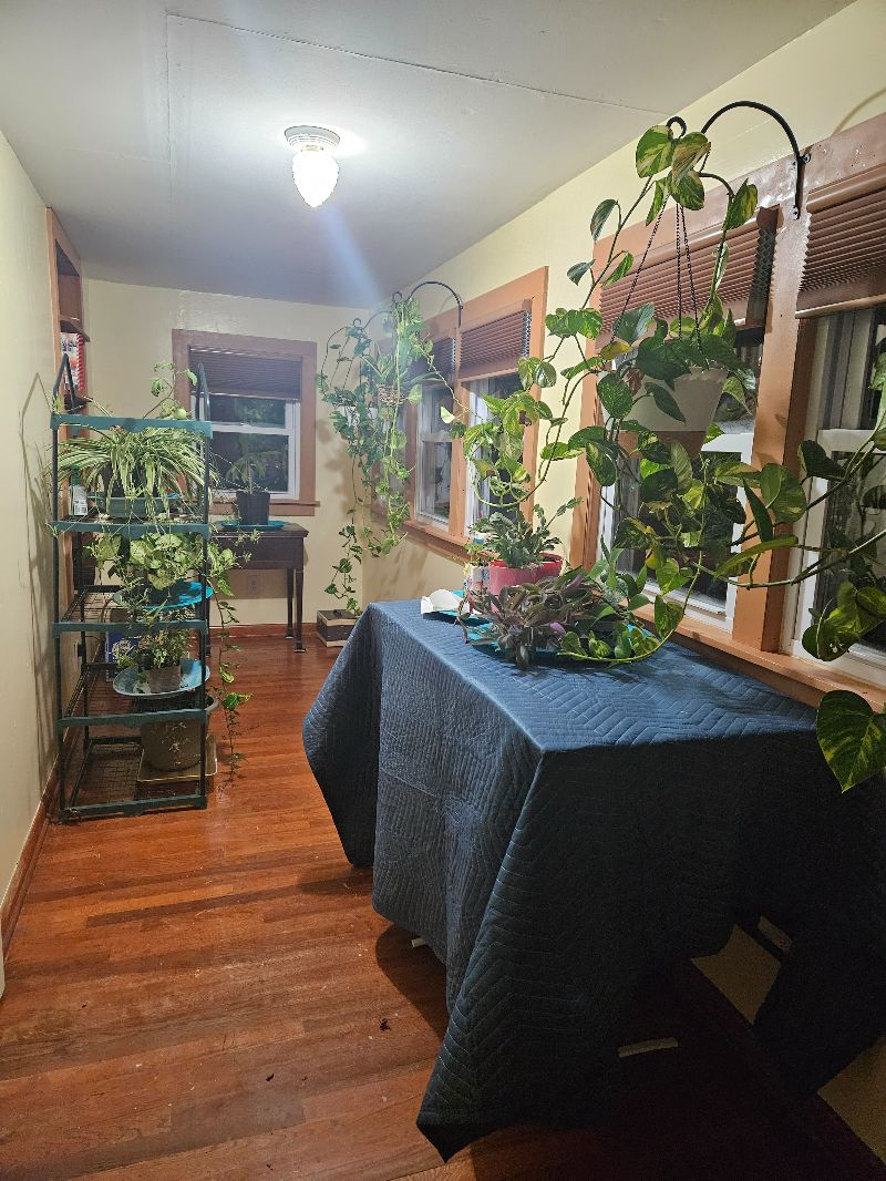 1 Bedroom with kitchen privileges, laundry privileges, shared bathroom, all utilities included inclu - Photo 1