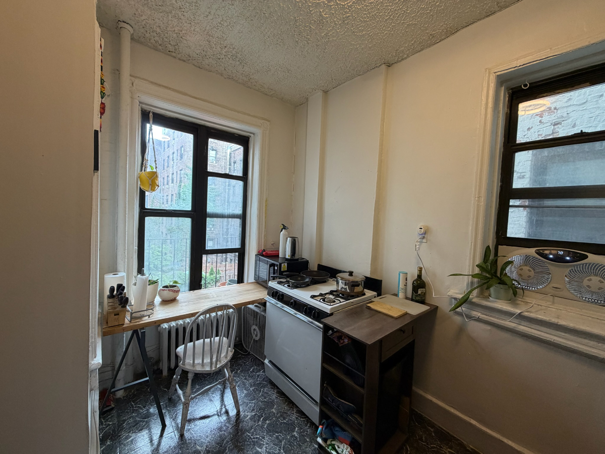 Huge Apartment on the Upper West Side - Photo 8