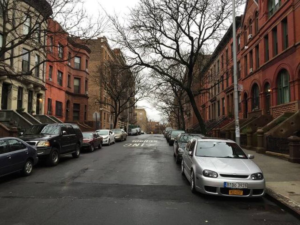 Quiet Oasis in Manhattan Near Hosiptals - Photo 5