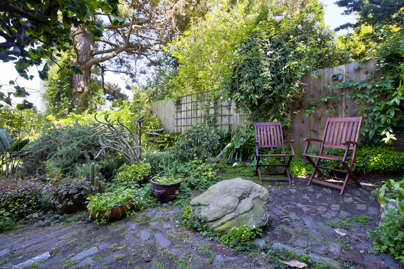 Inviting Studio in San Francisco - Photo 2