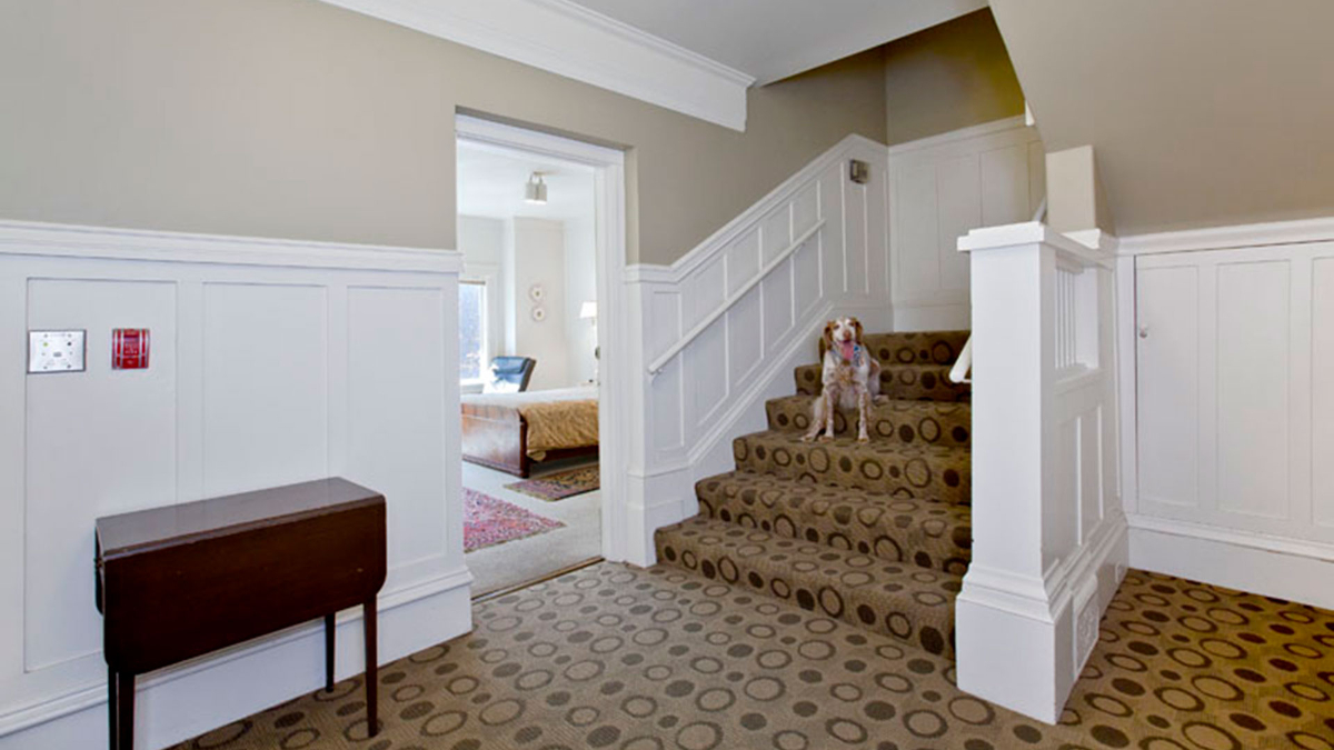 Inviting Studio in San Francisco - Photo 3