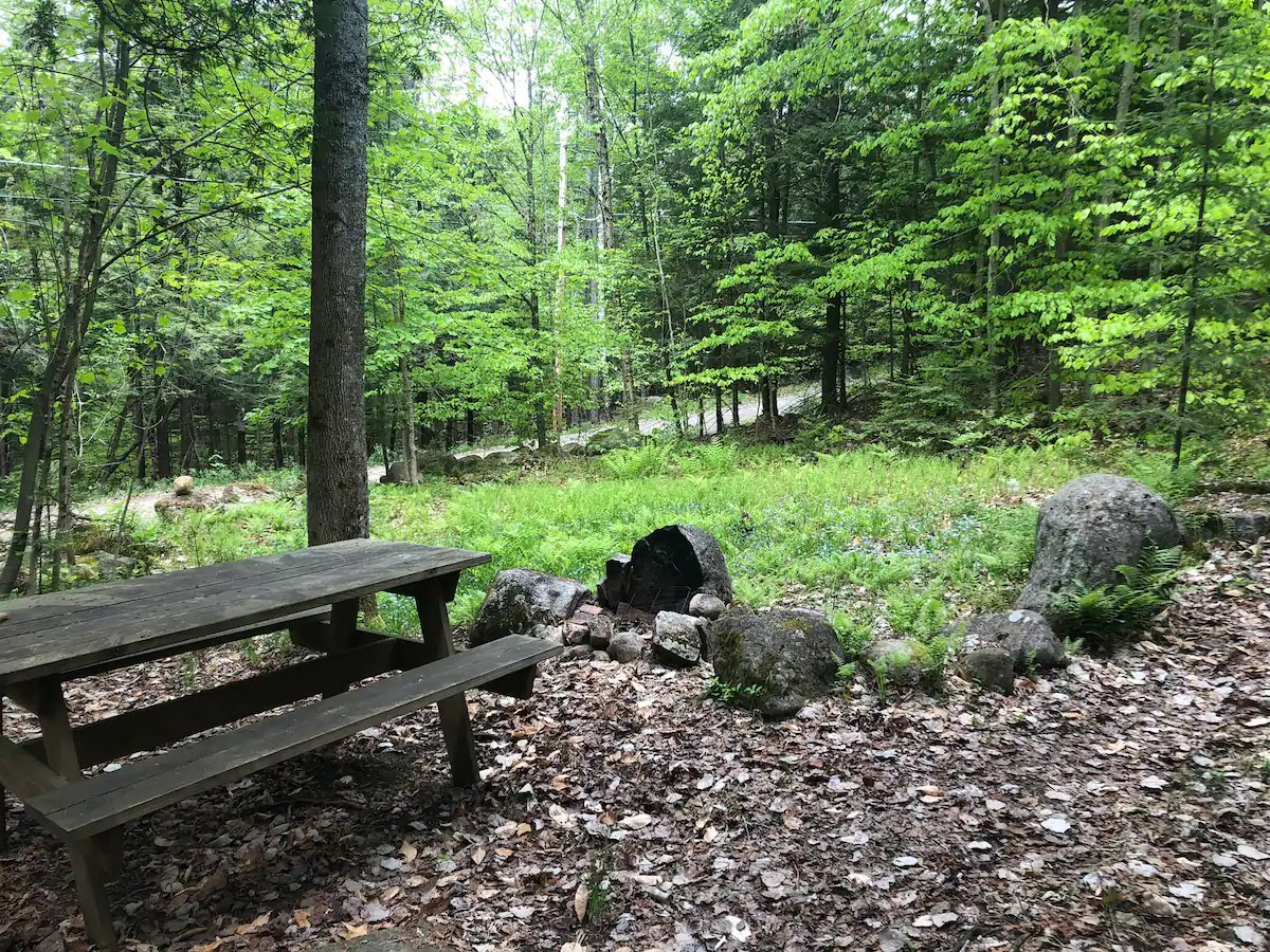 Charming Home in the Woods Close to Town - Photo 12