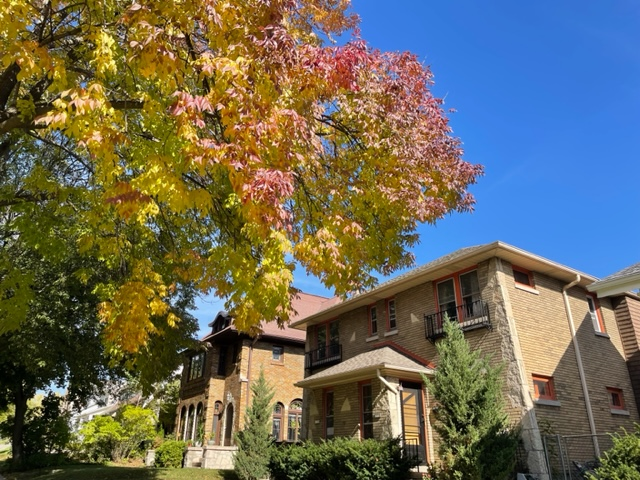 Shorewood room with parking and laundry