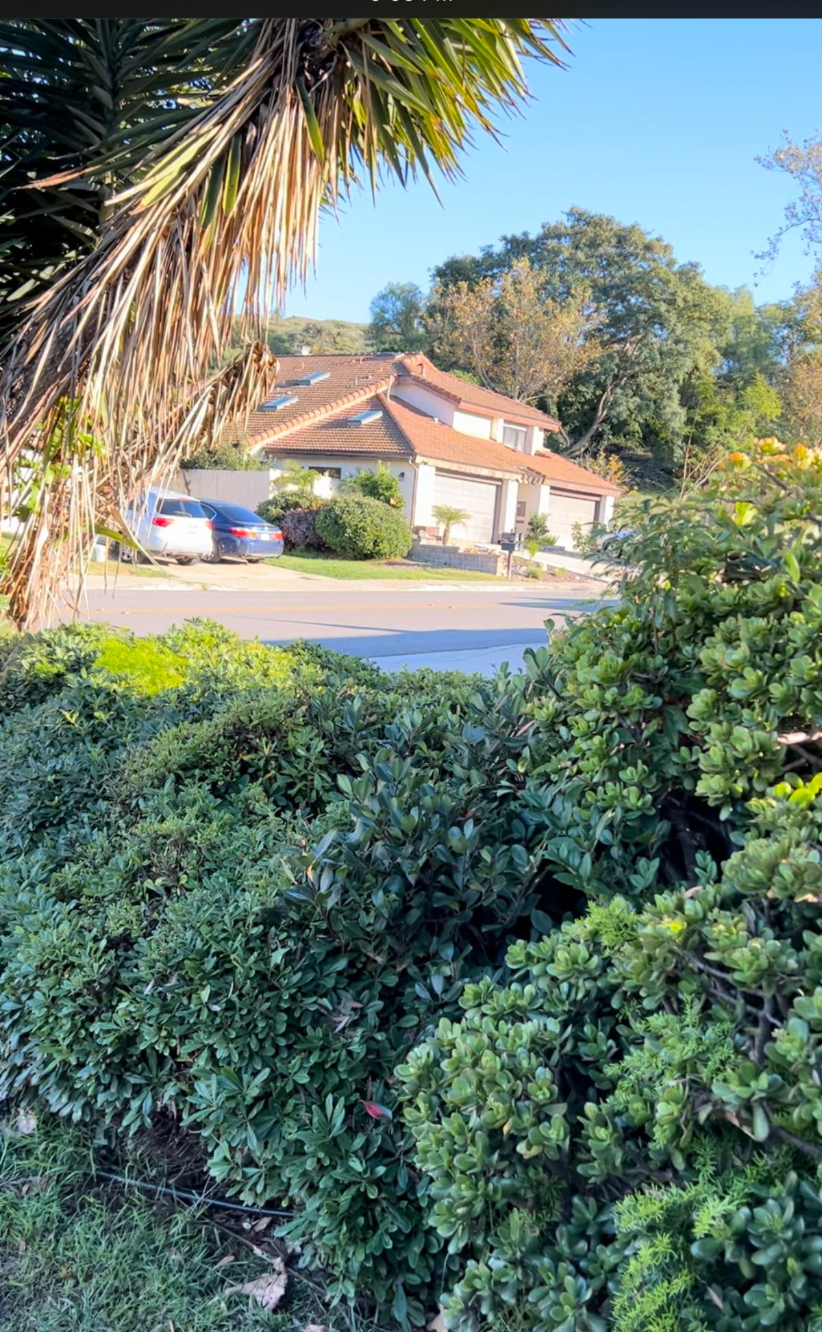 Sunny and peaceful San Diego - Photo 2