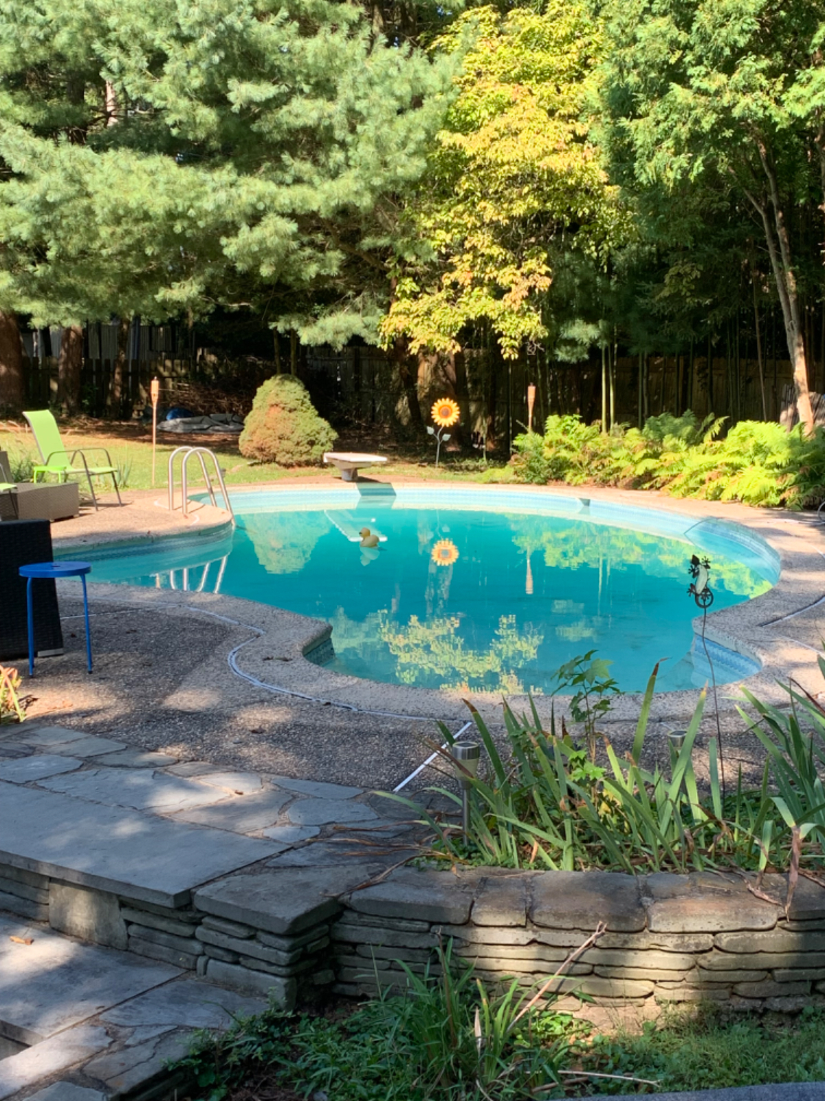 Beautiful 2 room in law suite