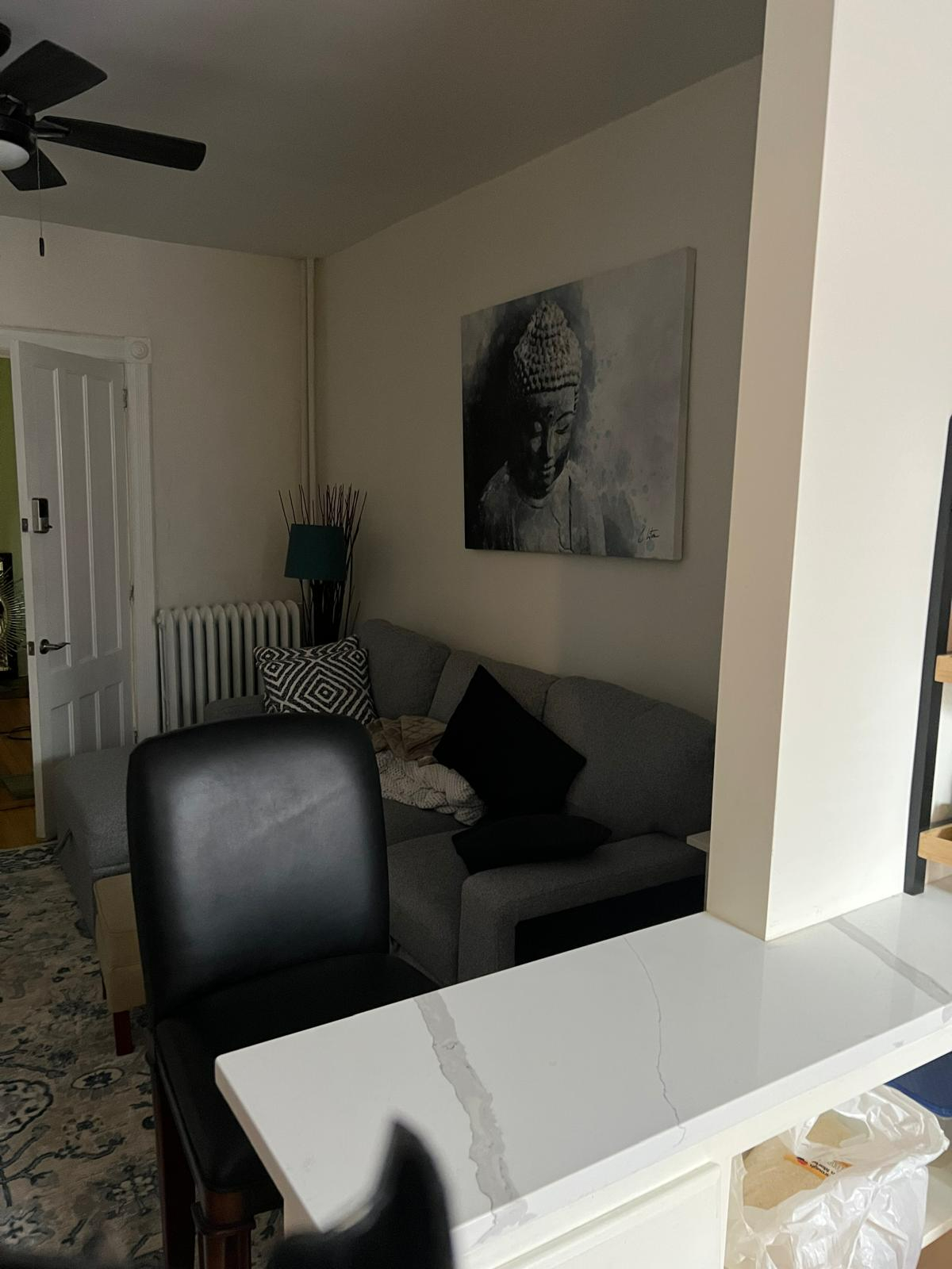 Great Two Bedroom in Albany -Walking distance to Albany Medical Center and Albany VA Hospital - Photo 4