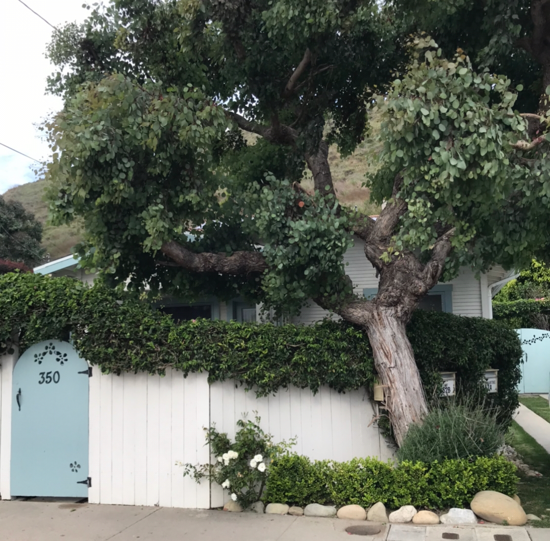 Nanas Coastal Cottage - Photo 4