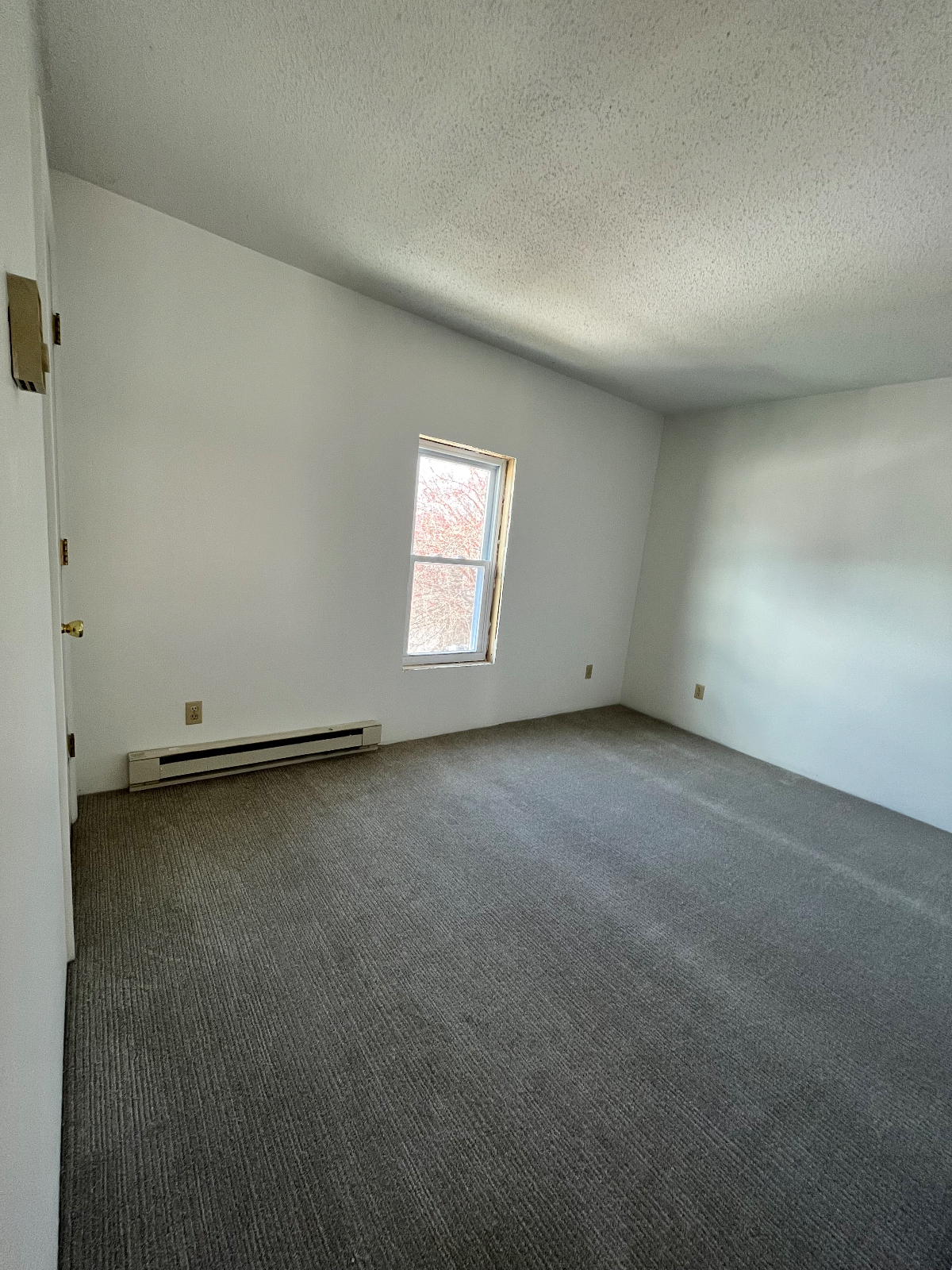 Conveniently Located Apartment - Photo 3