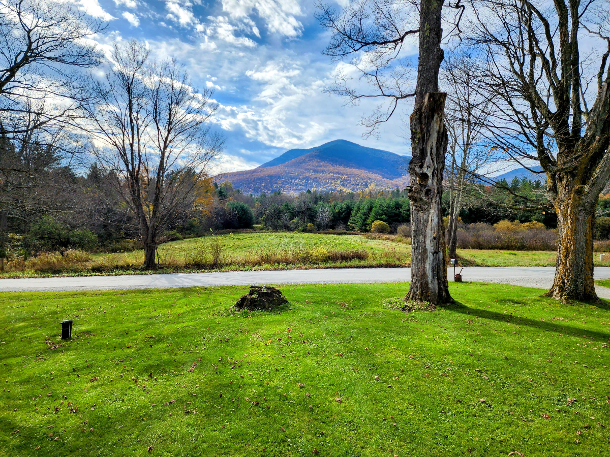 BEAUTIFUL 4 BEDROOM FARMHOUSE - Photo 6