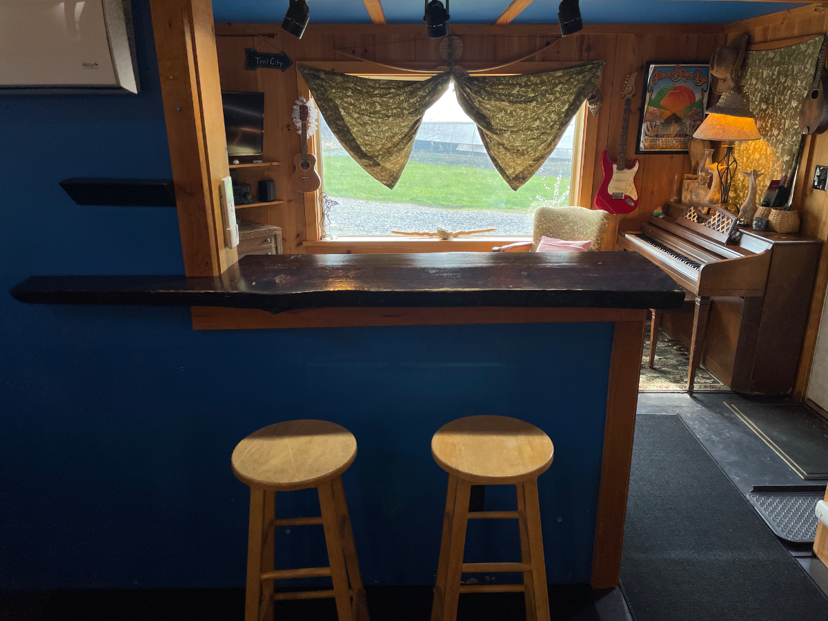 The Little Dipper Cozy Cabin - Photo 12