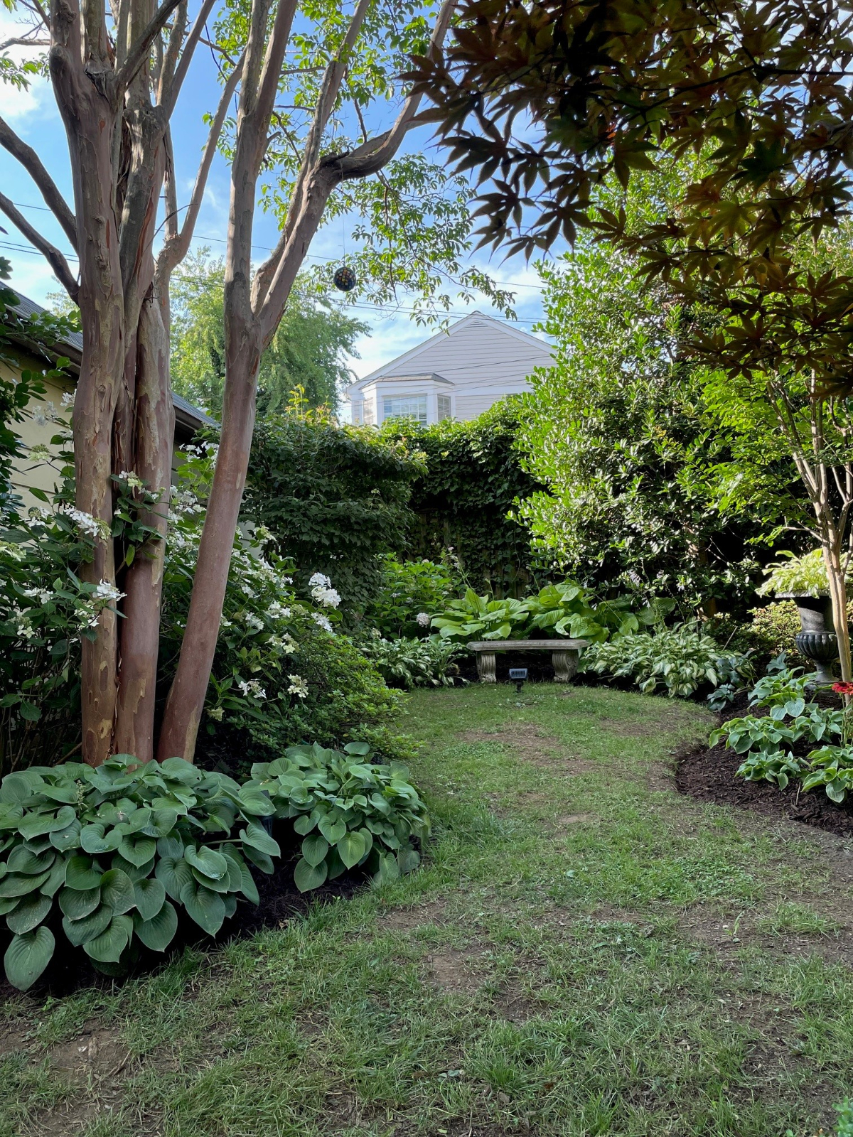 Furnished 1BR/BA apartment--just renovated - Photo 11