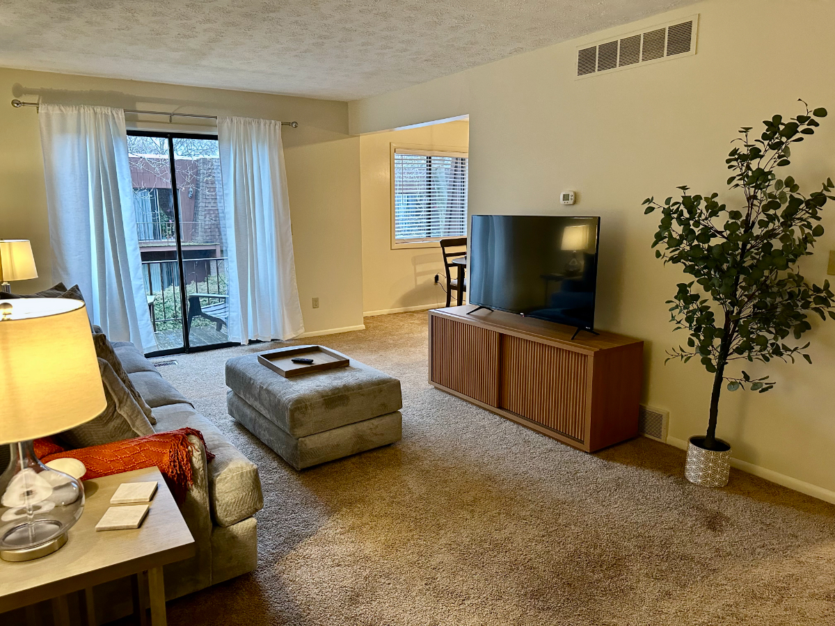 1 Bed 1 Bath Cozy Apartment- Fully Furnished - Photo 1
