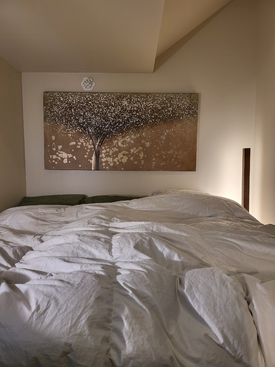 Beautiful and Modern 2 beds and one and 1/2 bath condo looking for TN for master bed with own privat - Photo 1