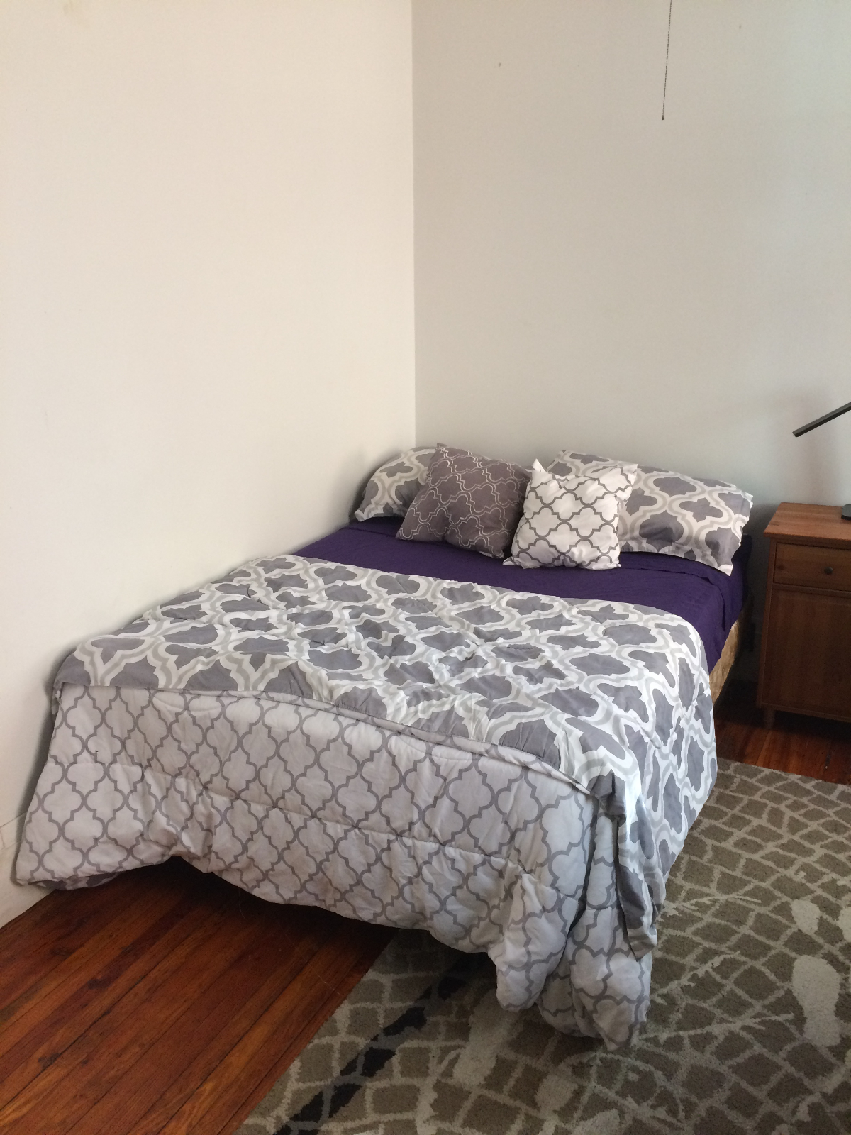 Room for Rent in a Morningside Heights Apartment - Photo 4
