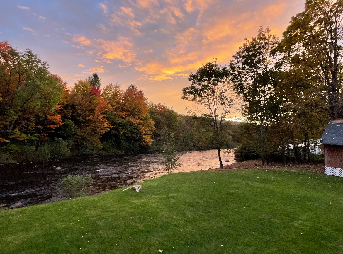 Quiet Cottage on the River. Beautiful setting - Photo 6