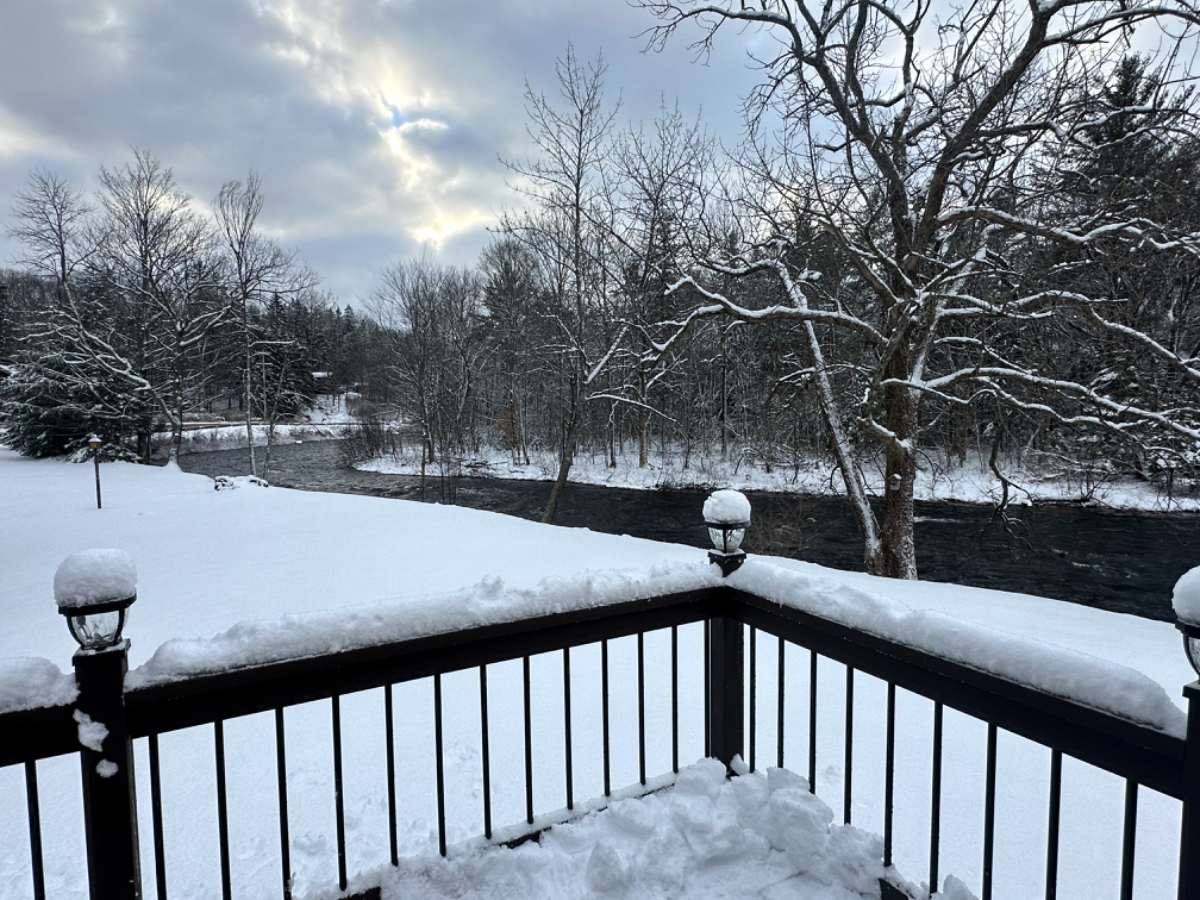 Quiet Cottage on the River. Beautiful setting - Photo 3