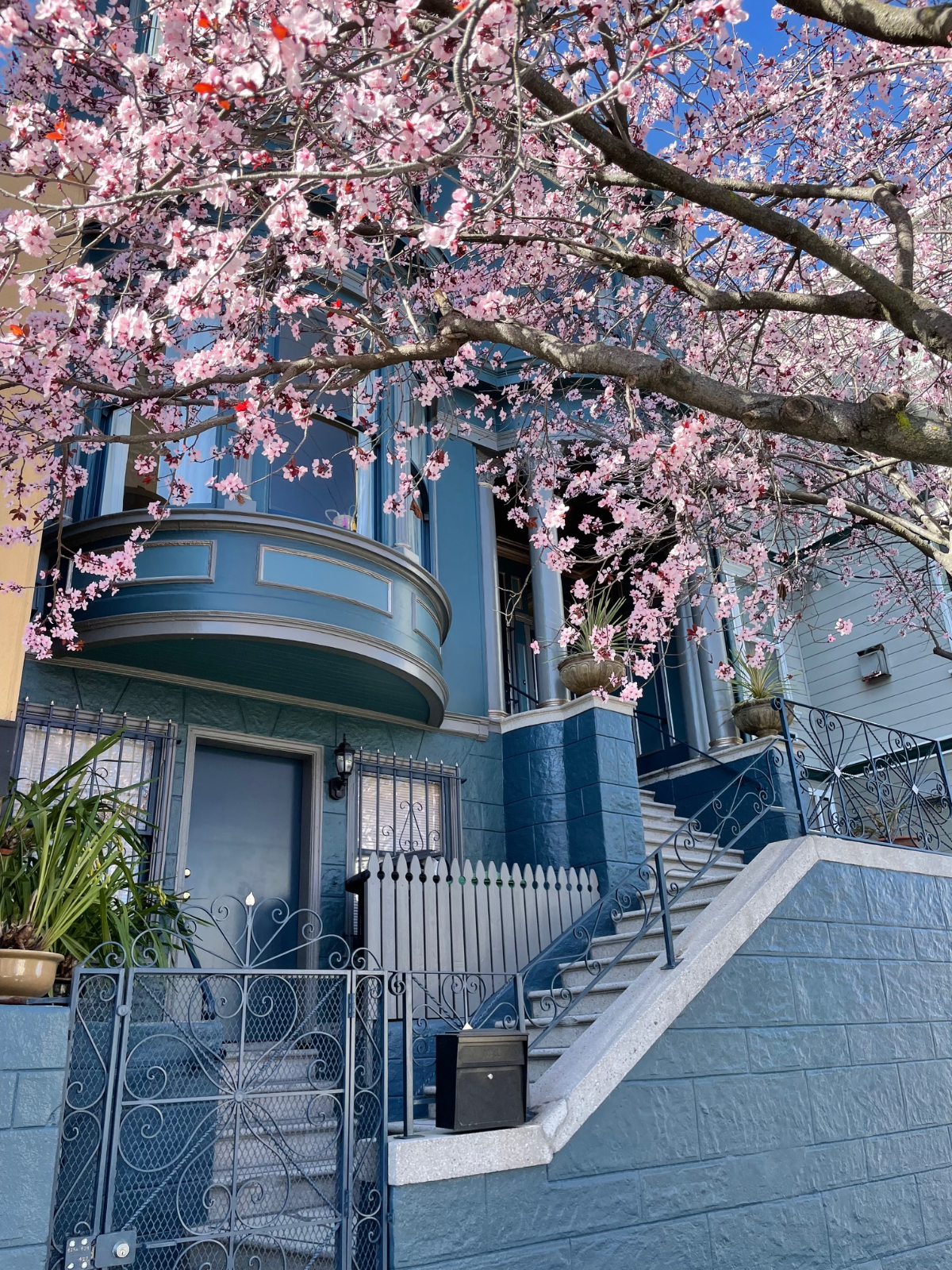 Entire private top floor in sumptuous Hayes Valley Victorian with balcony and VIEWS - Photo 6