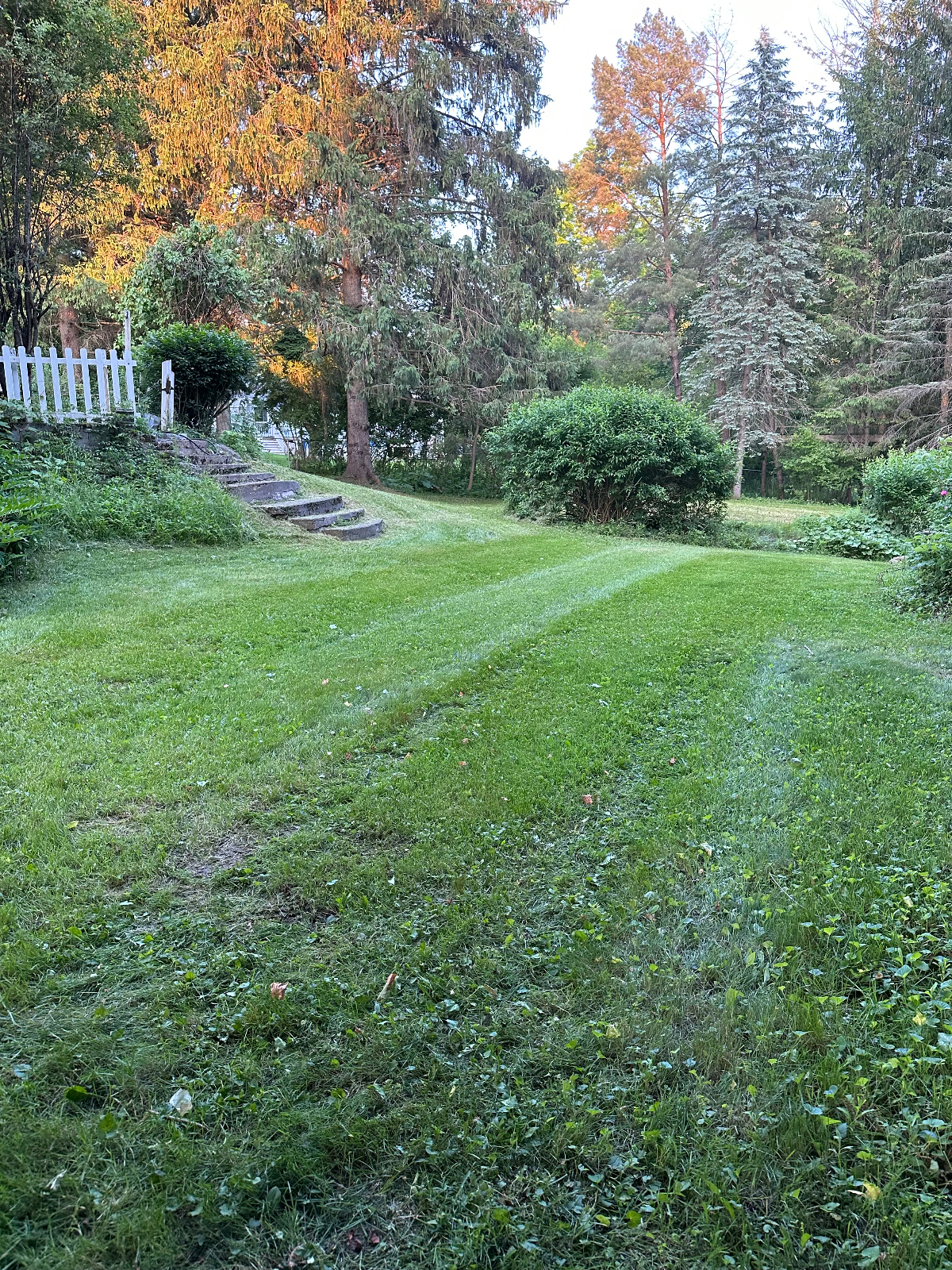 Sunny & Spacious Home in Picturesque Manlius - Photo 11